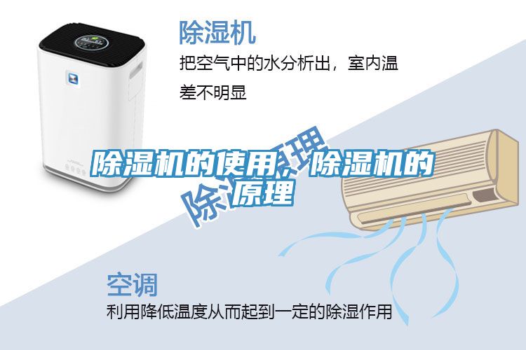 91免费网站在线观看的使用，91免费网站在线观看的原理