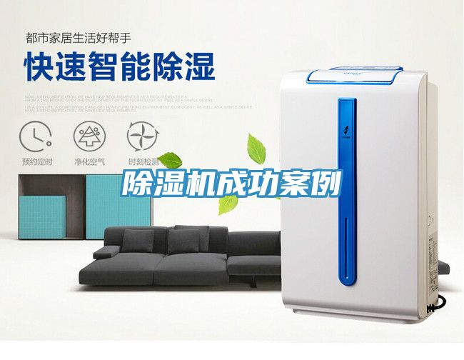 91免费网站在线观看成功案例
