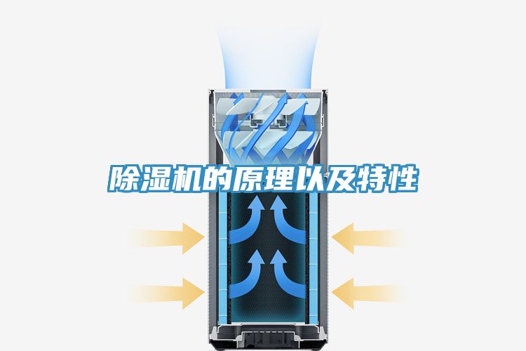 91免费网站在线观看的原理以及特性