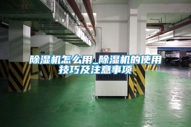 91免费网站在线观看怎么用_91免费网站在线观看的使用技巧及注意事项