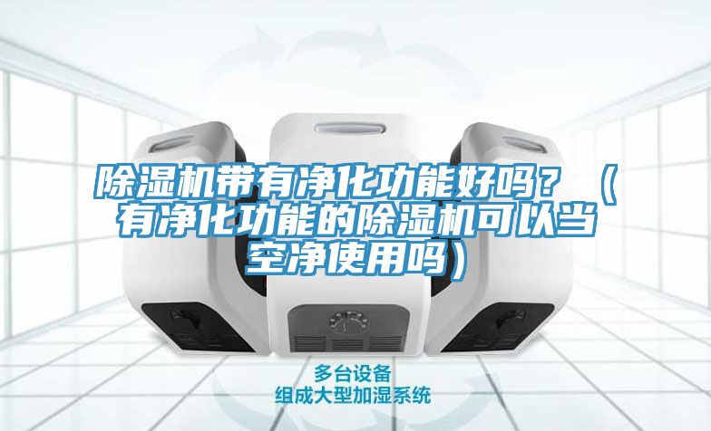 91免费网站在线观看带有净化功能好吗？（有净化功能的91免费网站在线观看可以当空净使用吗）