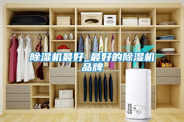 91免费网站在线观看最好_最好的91免费网站在线观看品牌
