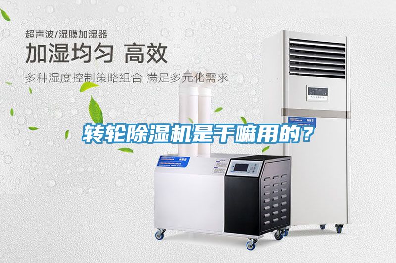 转轮91免费网站在线观看是干嘛用的？