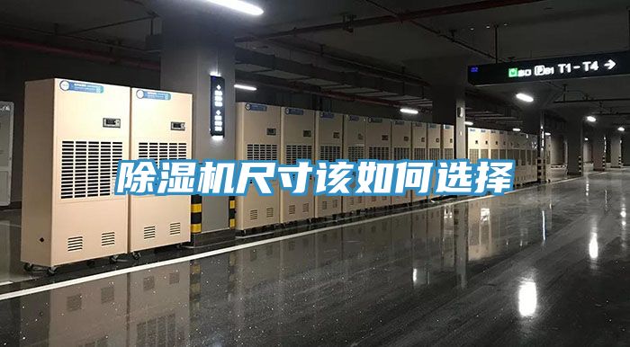 91免费网站在线观看尺寸该如何选择