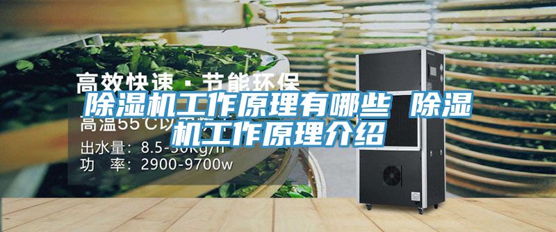 91免费网站在线观看工作原理有哪些 91免费网站在线观看工作原理介绍