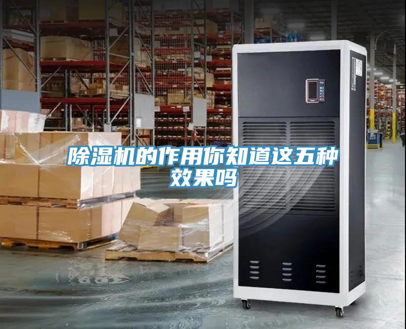 91免费网站在线观看的作用你知道这五种效果吗