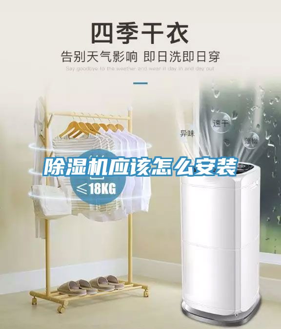91免费网站在线观看应该怎么安装