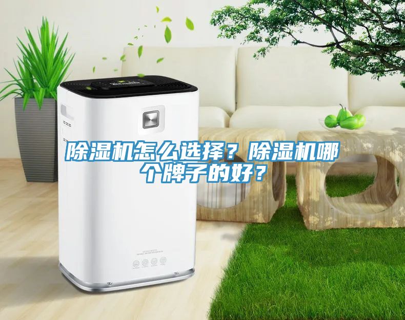 91免费网站在线观看怎么选择？91免费网站在线观看哪个牌子的好？