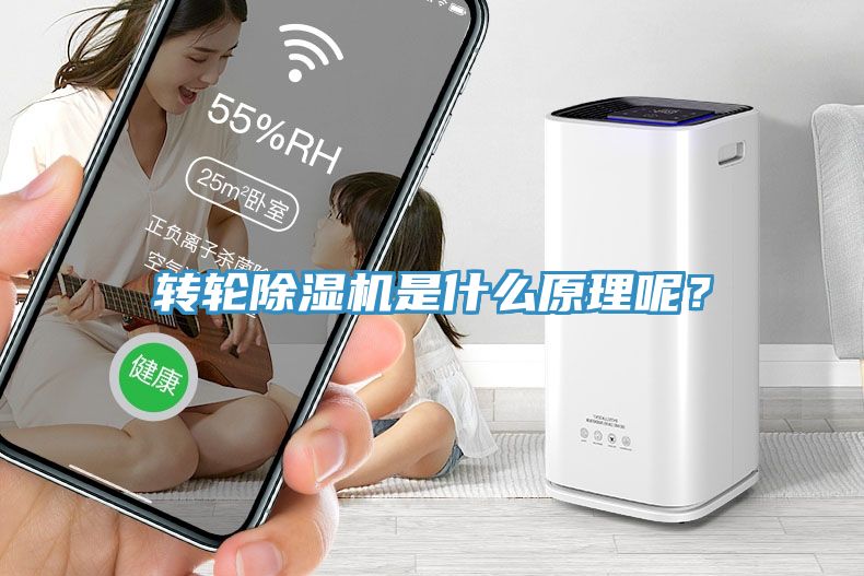 转轮91免费网站在线观看是什么原理呢？