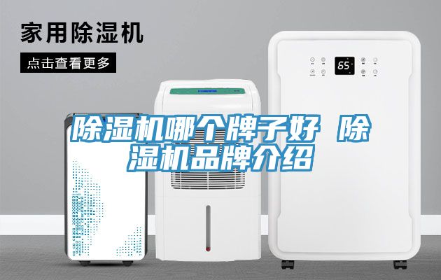 91免费网站在线观看哪个牌子好 91免费网站在线观看品牌介绍