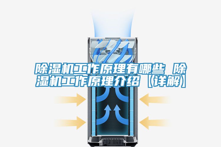 91免费网站在线观看工作原理有哪些 91免费网站在线观看工作原理介绍【详解】
