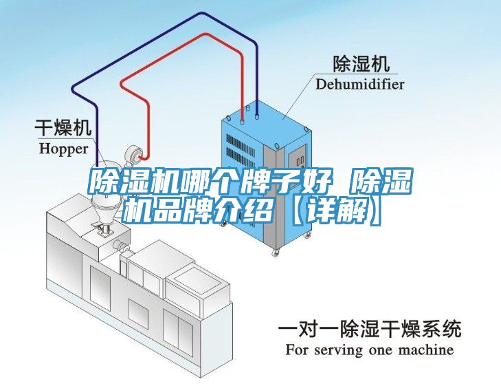 91免费网站在线观看哪个牌子好 91免费网站在线观看品牌介绍【详解】