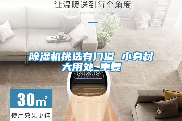 91免费网站在线观看挑选有门道 小身材大用处_重复