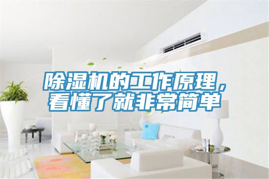 91免费网站在线观看的工作原理，看懂了就非常简单