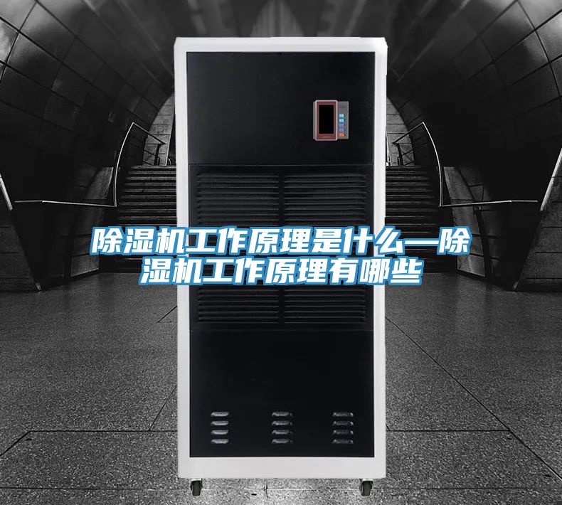 91免费网站在线观看工作原理是什么—91免费网站在线观看工作原理有哪些