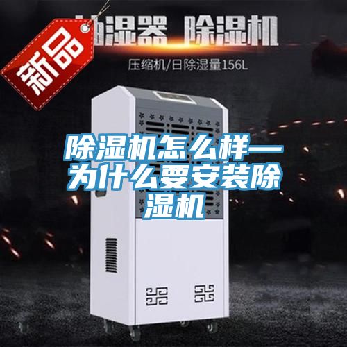 91免费网站在线观看怎么样—为什么要安装91免费网站在线观看