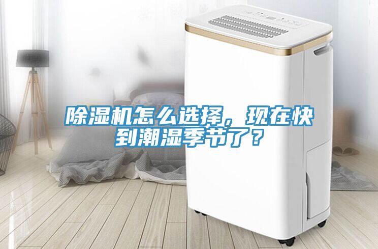 91免费网站在线观看怎么选择，现在快到潮湿季节了？