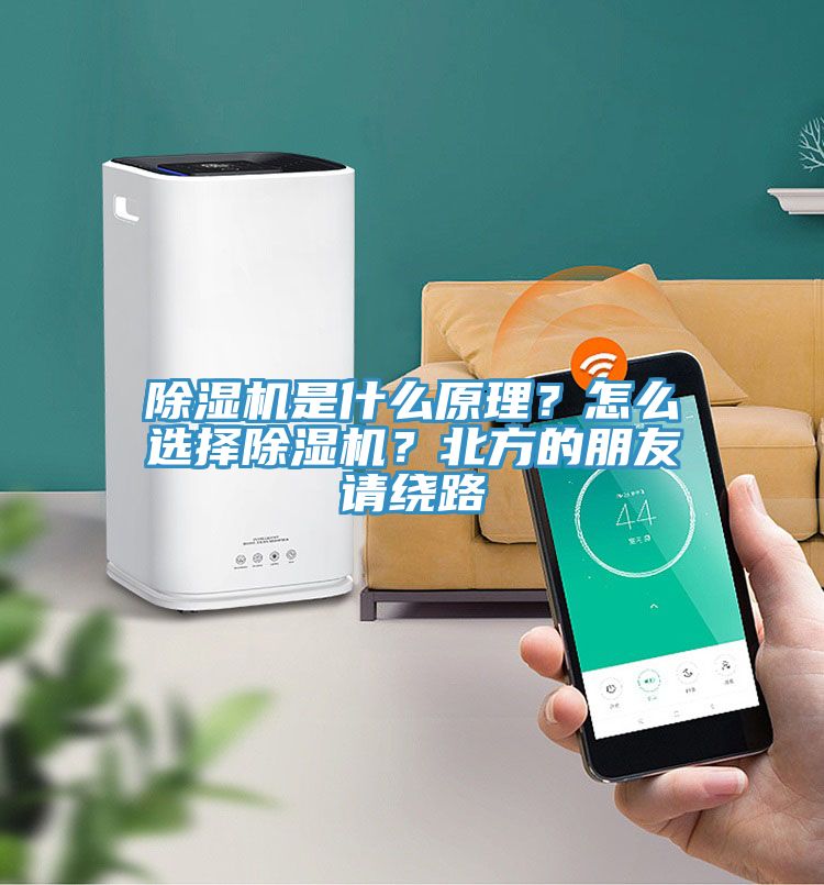 91免费网站在线观看是什么原理？怎么选择91免费网站在线观看？北方的朋友请绕路