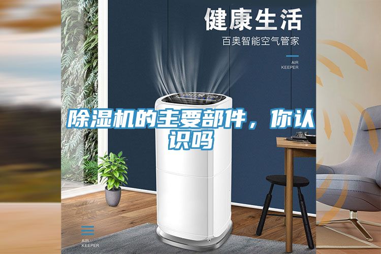 91免费网站在线观看的主要部件，你认识吗