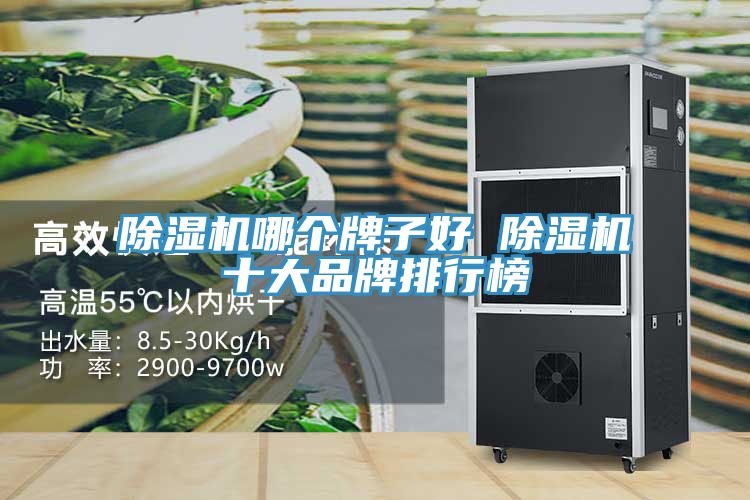 91免费网站在线观看哪个牌子好 91免费网站在线观看十大品牌排行榜