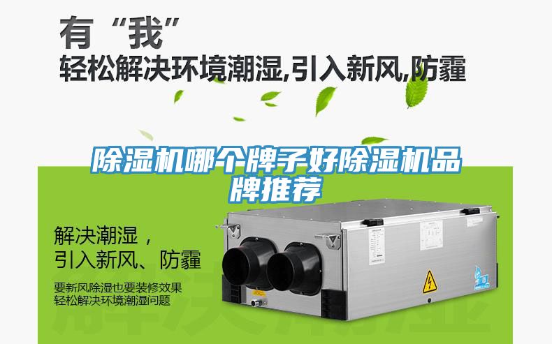 91免费网站在线观看哪个牌子好91免费网站在线观看品牌推荐