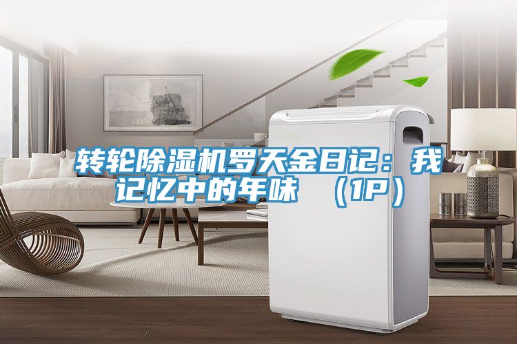 转轮91免费网站在线观看罗天金日记：我记忆中的年味 （1P）