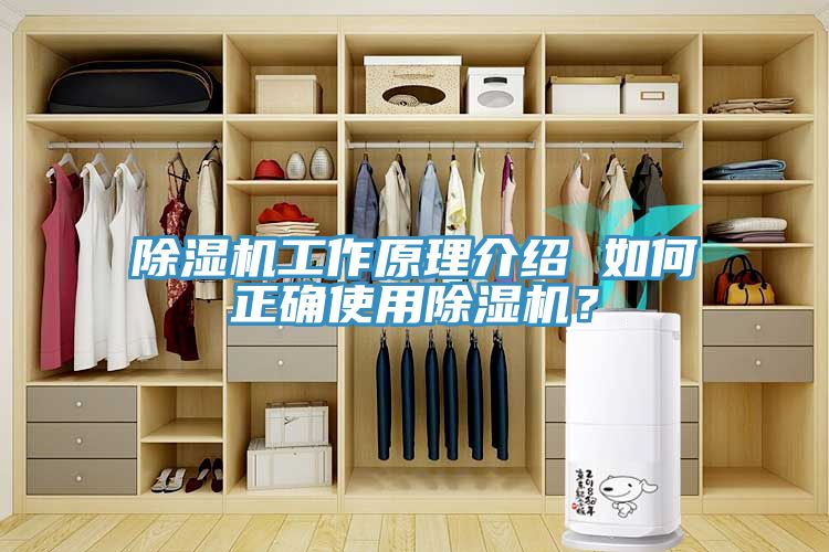 91免费网站在线观看工作原理介绍 如何正确使用91免费网站在线观看？