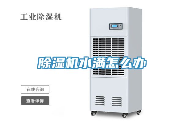 91免费网站在线观看水满怎么办