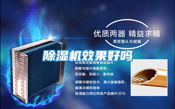 91免费网站在线观看效果好吗