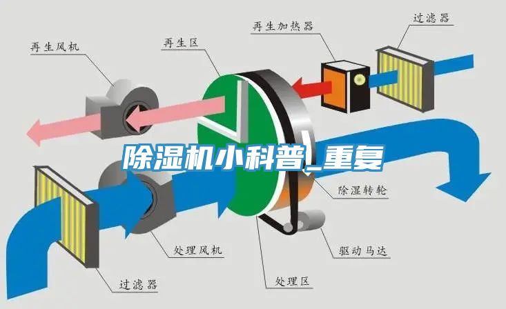 91免费网站在线观看小科普_重复