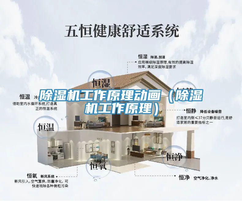 91免费网站在线观看工作原理动画（91免费网站在线观看工作原理）