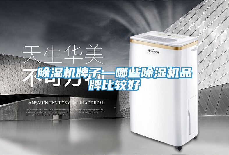 91免费网站在线观看牌子—哪些91免费网站在线观看品牌比较好