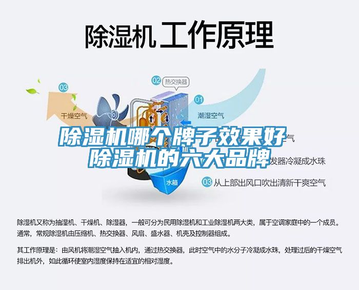 91免费网站在线观看哪个牌子效果好 91免费网站在线观看的六大品牌