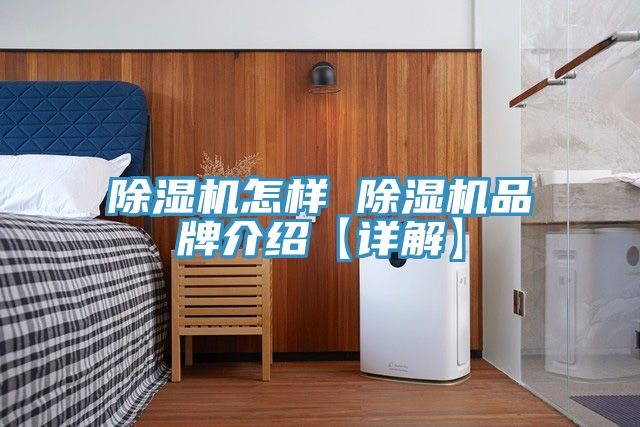 91免费网站在线观看怎样 91免费网站在线观看品牌介绍【详解】