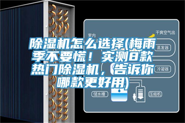 91免费网站在线观看怎么选择(梅雨季不要慌！实测8款热门91免费网站在线观看，告诉你哪款更好用)