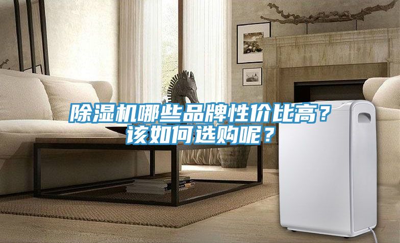 91免费网站在线观看哪些品牌性价比高？该如何选购呢？
