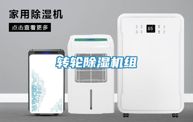 转轮91免费网站在线观看组