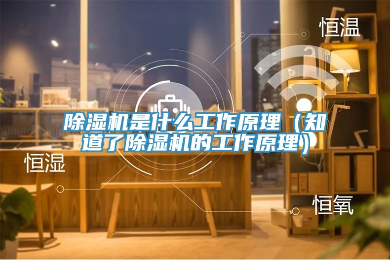 91免费网站在线观看是什么工作原理（知道了91免费网站在线观看的工作原理）