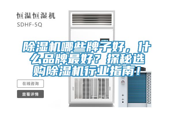 91免费网站在线观看哪些牌子好，什么品牌最好？探秘选购91免费网站在线观看行业指南！