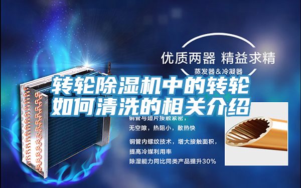 转轮91免费网站在线观看中的转轮如何清洗的相关介绍
