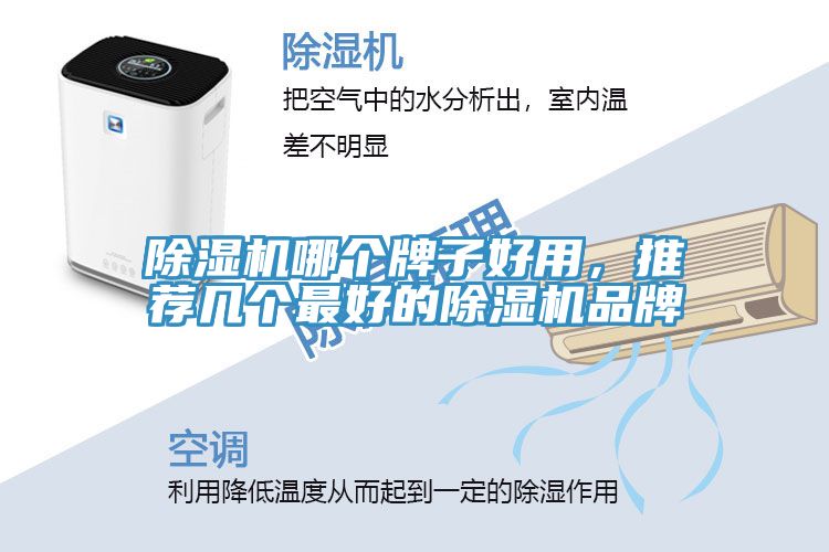 91免费网站在线观看哪个牌子好用，推荐几个最好的91免费网站在线观看品牌