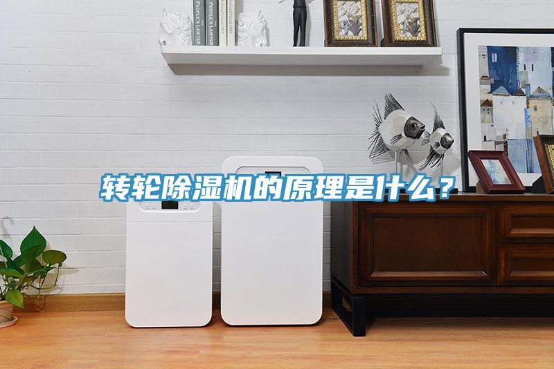 转轮91免费网站在线观看的原理是什么？
