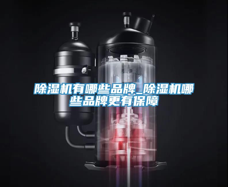91免费网站在线观看有哪些品牌_91免费网站在线观看哪些品牌更有保障