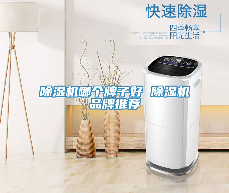 91免费网站在线观看哪个牌子好 91免费网站在线观看品牌推荐