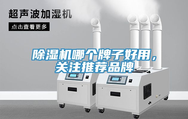 91免费网站在线观看哪个牌子好用，关注推荐品牌
