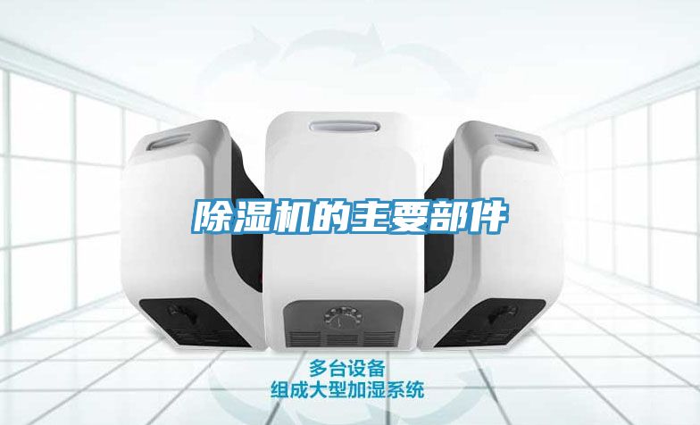 91免费网站在线观看的主要部件