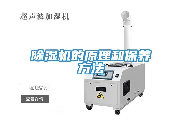 91免费网站在线观看的原理和保养方法