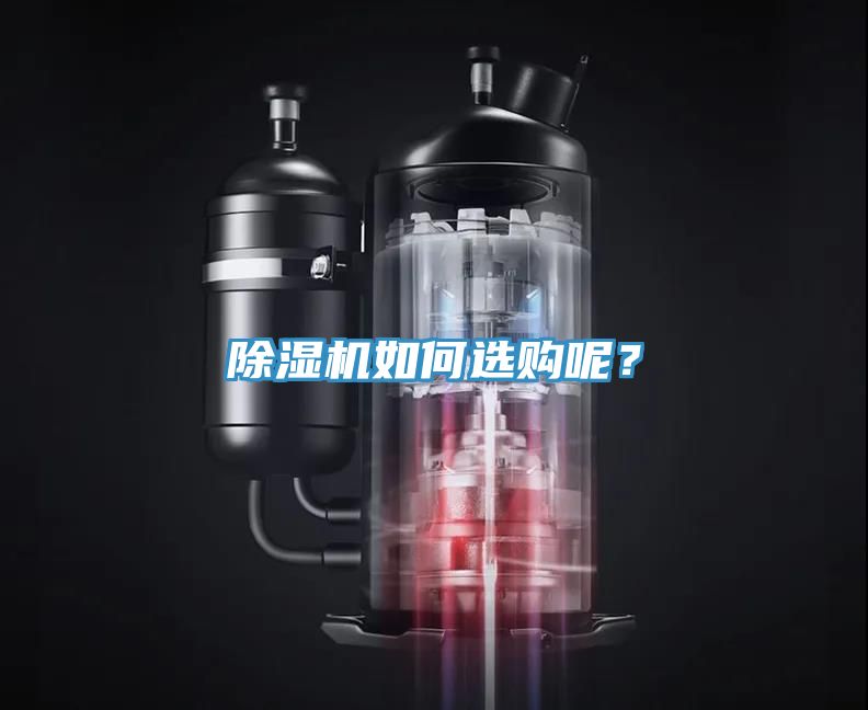 91免费网站在线观看如何选购呢？