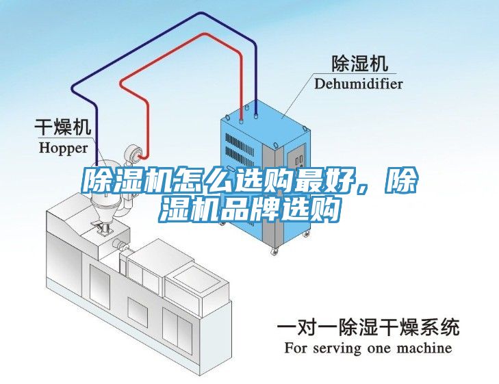 91免费网站在线观看怎么选购最好，91免费网站在线观看品牌选购