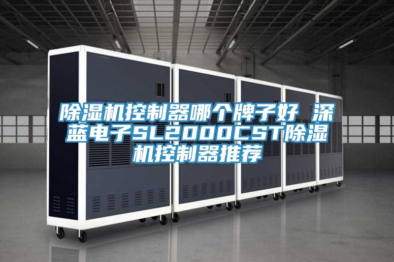 91免费网站在线观看控制器哪个牌子好 深蓝电子SL2000CST91免费网站在线观看控制器推荐